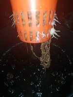 20180818_114550.jpg