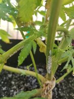 20180818_170728.jpg