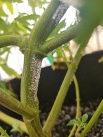 20180818_170743.jpg