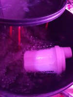 20180819_195640.jpg