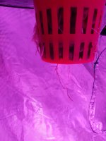 20180819_181655.jpg