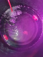 20180819_181718.jpg