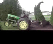 photo57135.gif