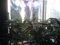 image_57586.jpg image_57586.jpg