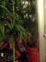 image_57589.jpg image_57589.jpg