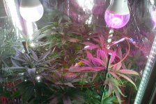 image_57621.jpg image_57621.jpg