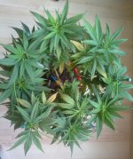 20180830_114629.jpg