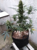 20180830_105646.jpg