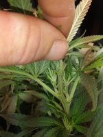 20180902_073657.jpg