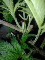 20180904_155811.jpg