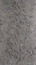 photo58452.gif