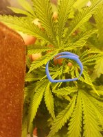 20180905_174339.jpg