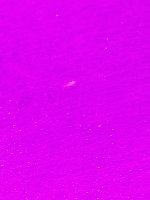 photo58847.jpg