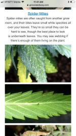 photo58865.png
