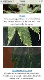 photo58866.png