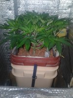 20180909_135154.jpg