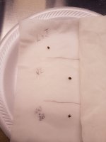 photo59009.jpg