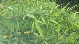 20180911_141127.jpg
