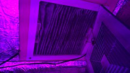 photo59272.jpg