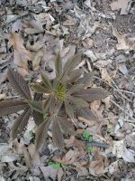 20180310_150250.jpg
