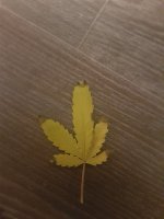 20180915_223130.jpg
