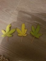 20180915_223033.jpg