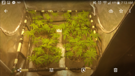 Screenshot_2018-09-16-07-13-54.png