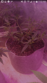 Screenshot_2018-09-16-07-13-10.png