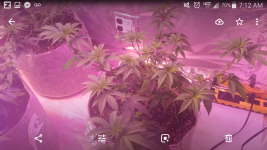 Screenshot_2018-09-16-07-13-00.png