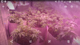 Screenshot_2018-09-16-07-12-29.png