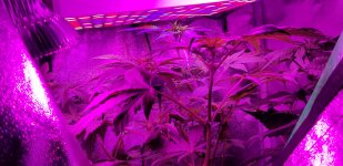 photo59657.jpg