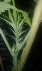 20180924_123742.jpg