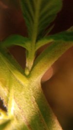 20180927_192722.jpg