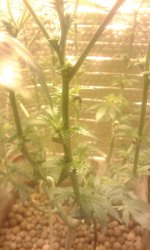 20181001_135330.jpg