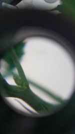 20181003_185951.jpg