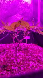 20181006_065142.jpg