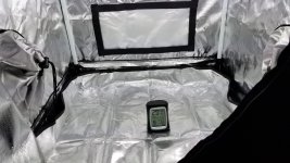 photo62396.jpg