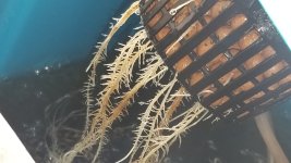 20181020_224744.jpg
