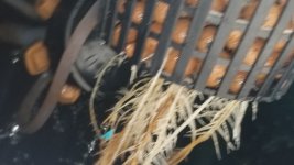 20181020_224727.jpg