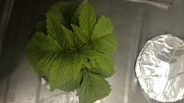 20181022_135649.jpg
