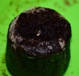 tercera_gsc.jpg tercera_gsc.jpg