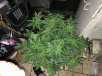 IMG_2621.JPG
