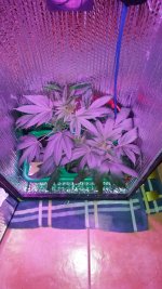 20170106_170648.jpg