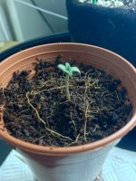 photo7134.jpg