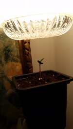 photo7222.jpg