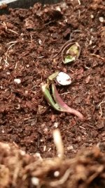 photo7346.jpg
