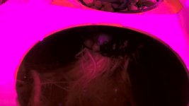 WP_20170110_07_56_37_Pro.jpg