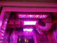 Jan 10 update lights 3.jpg