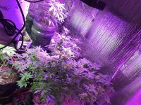 IMG_2690.JPG