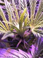IMG_0835.jpg